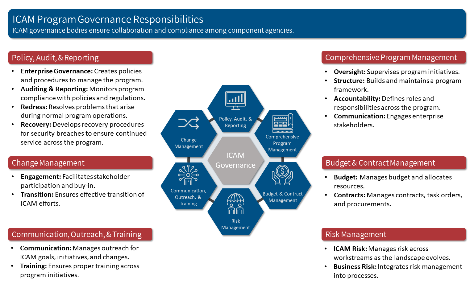 ICAM Governance Responsibilities.