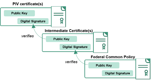 An example of an identity certificate with intermediate and root.