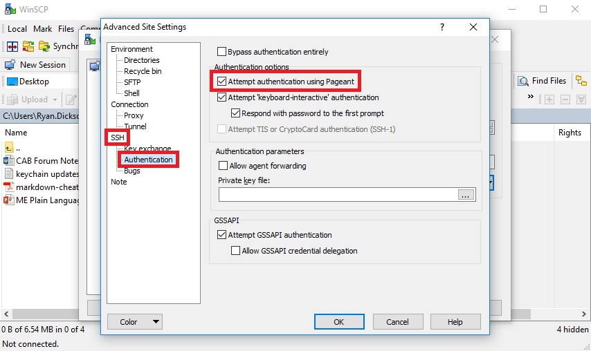 A screenshot showing the Advanced Site Settings window with SSH, Authentication, and Attempt authentication using Paegent options selected.