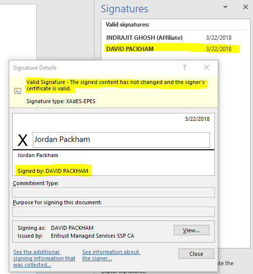 A screenshot of a Microsoft Word Signature Details box.